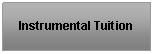 Text Box: Instrumental Tuition